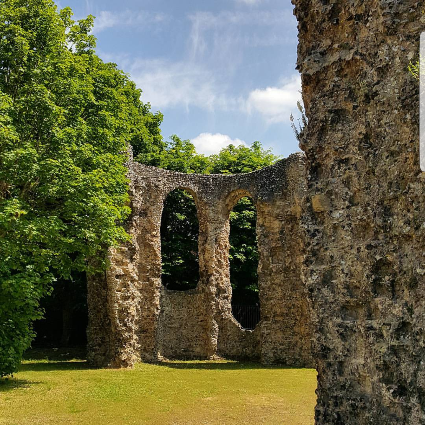 Abbey Ruins Reading